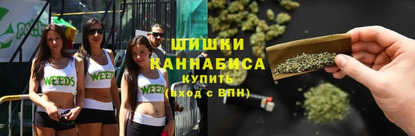 a pvp Почеп