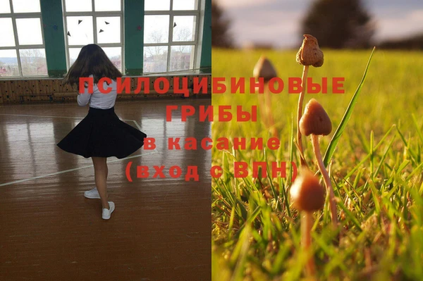 герыч Осташков